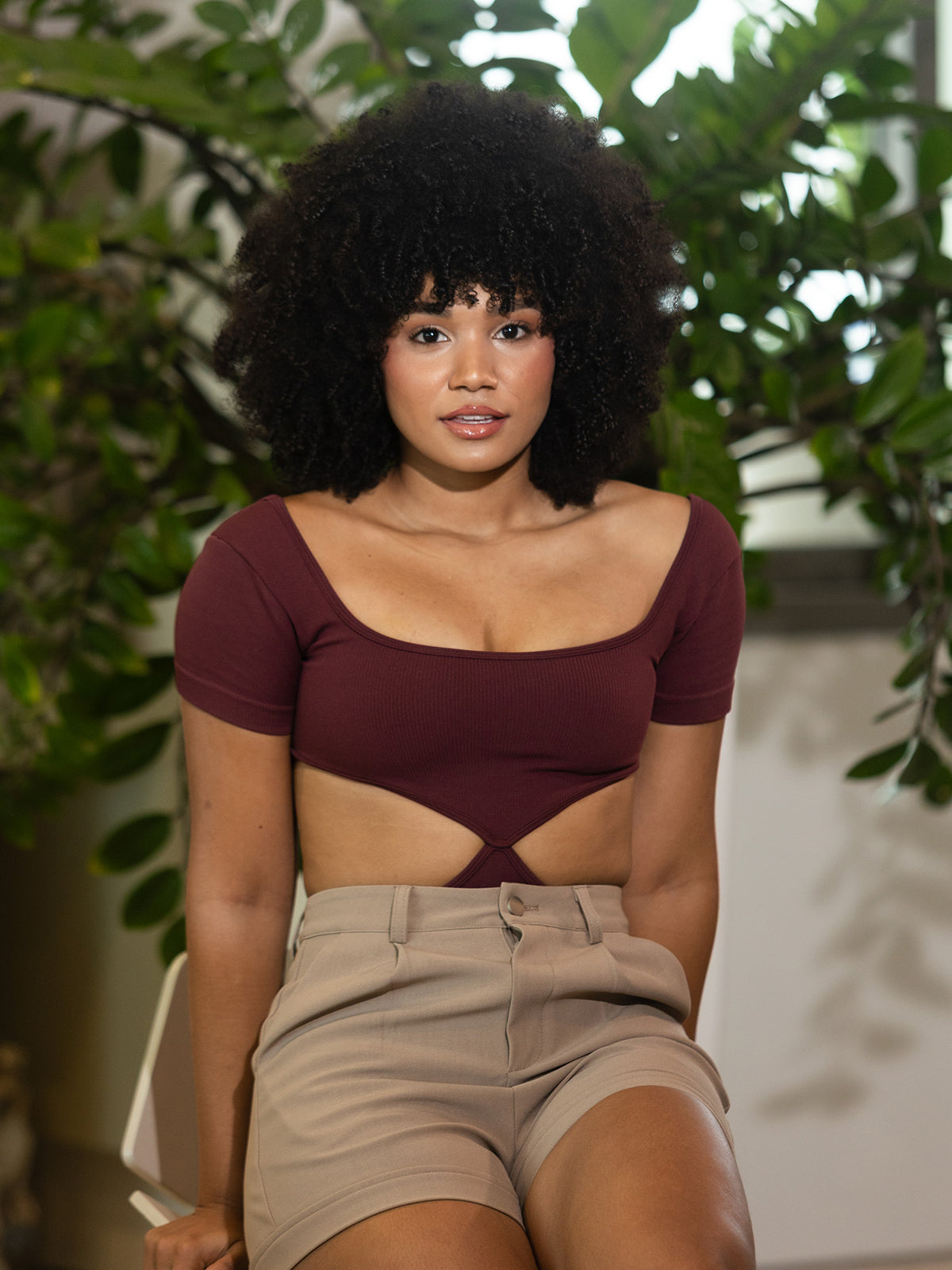 Dressy Body Vino
