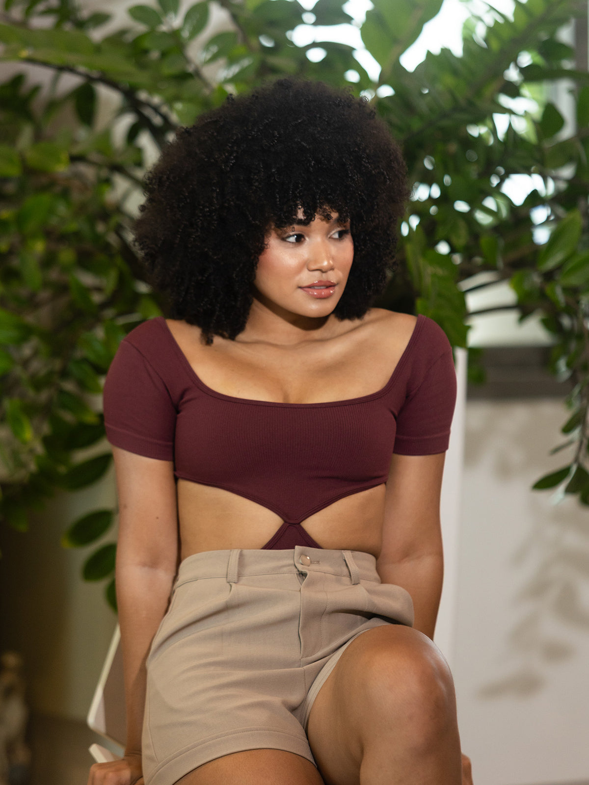 Dressy Body Vino