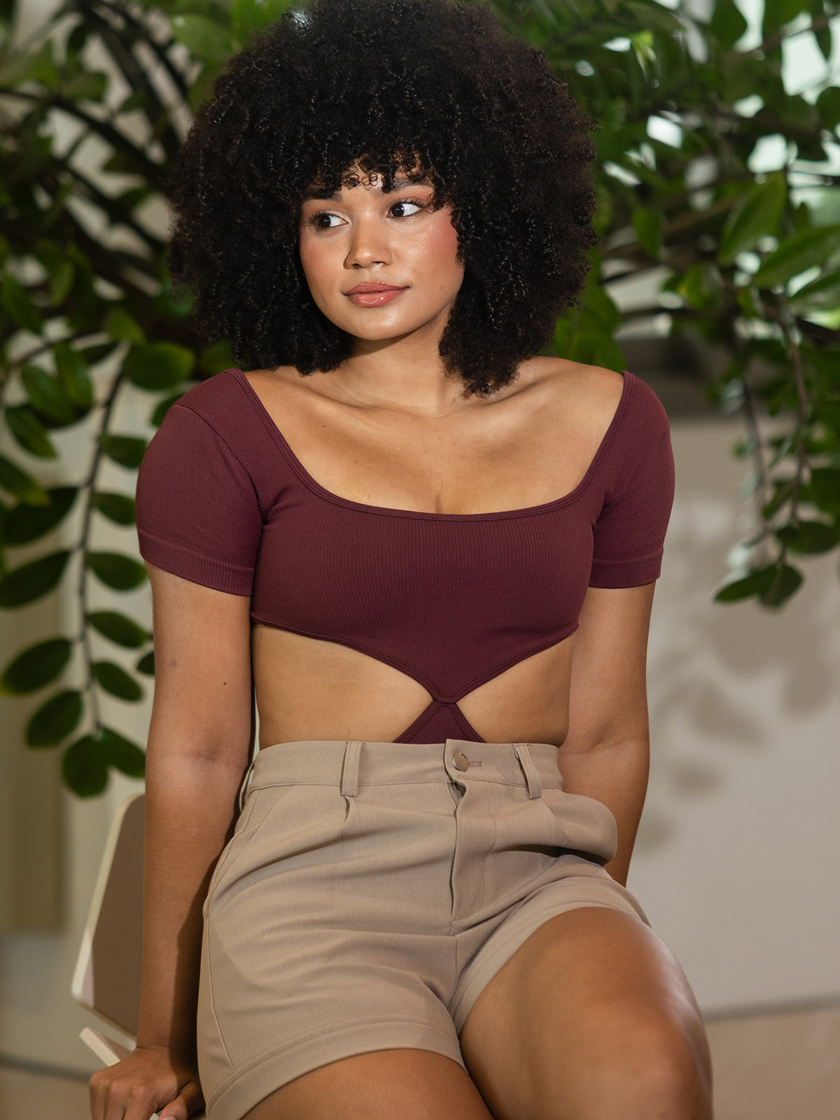 Dressy Body Vino